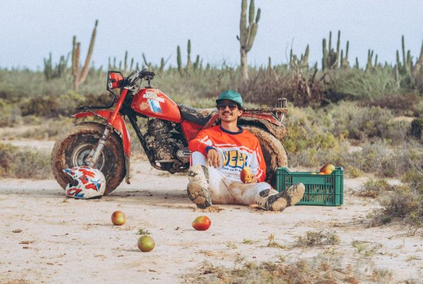 Caloncho-Mangos