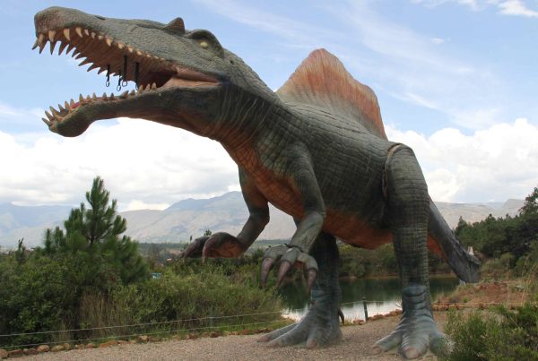 GONDAVA-valle-de-los-dinosaurios