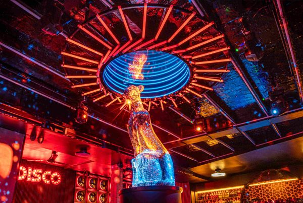 celebracion-17-anos-disco-jaguar-scaled