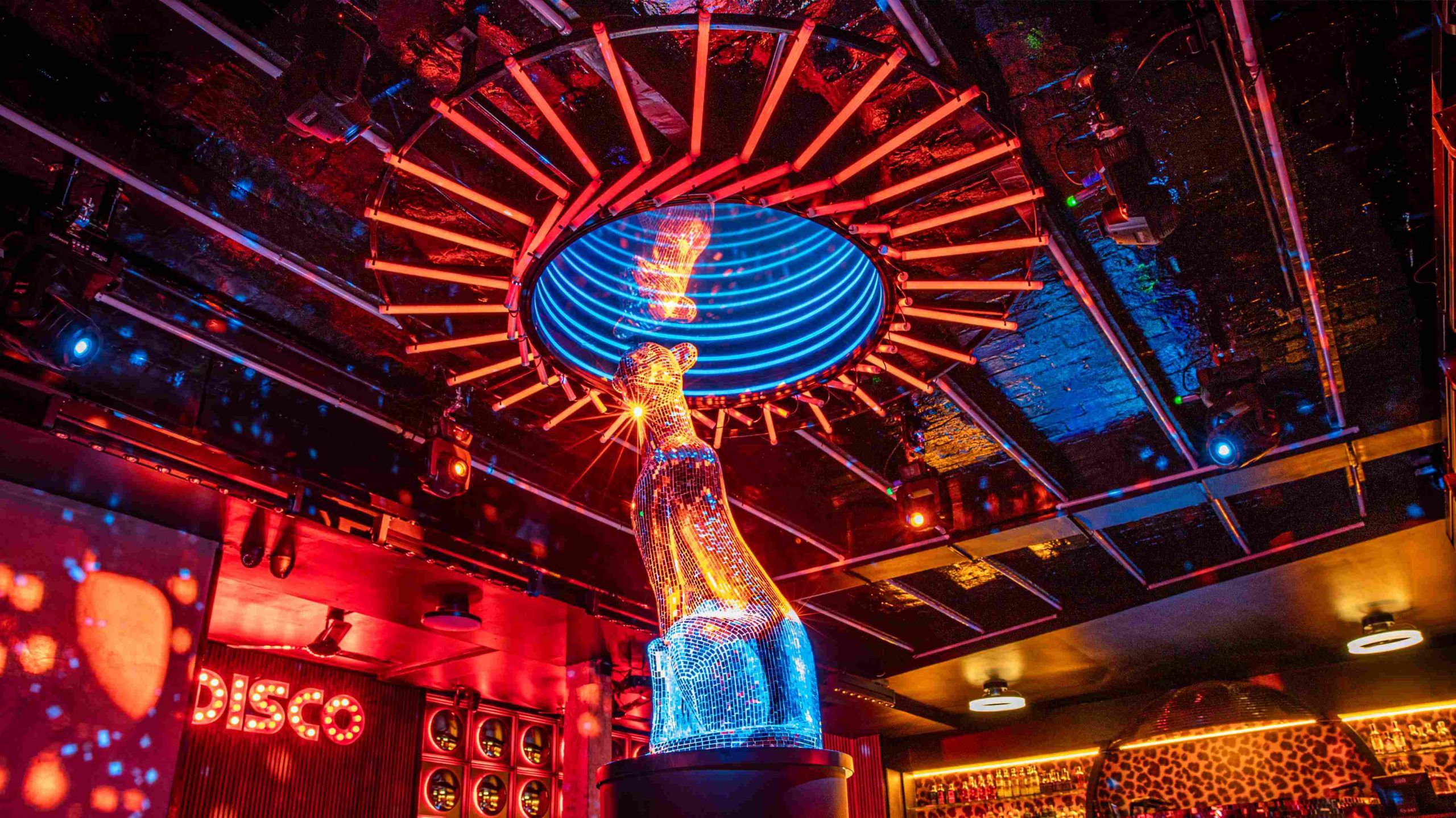 celebracion-17-anos-disco-jaguar-scaled